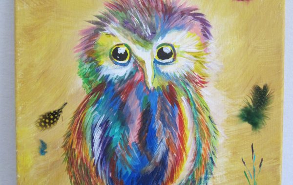 Owl with Feathers